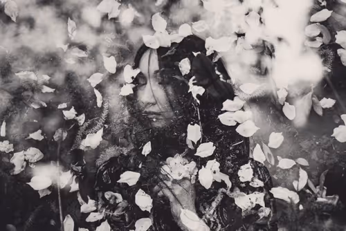 Item #113300456265572054290641269231913614430655375386256613734739386363276978814977 Media