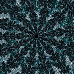 Fractal Nature #67 #zhaojiu