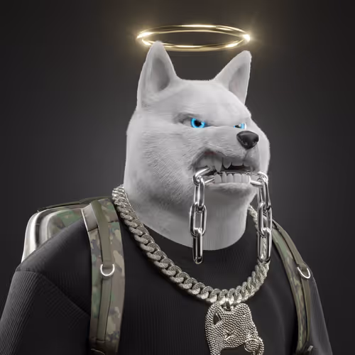 LoudRich24 Collection