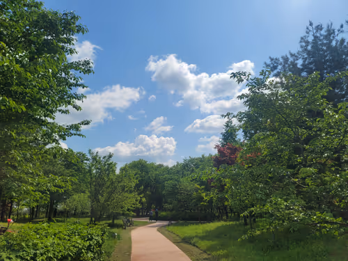 Item #93595123335427177115035649409809426481929941394150646237552609229786186776577 Media