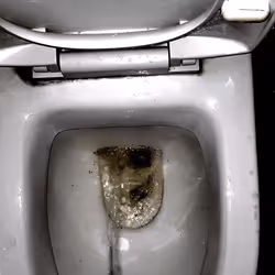 12660136923828748263426703316480839463053827608546839420335323721646179614721