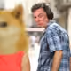 19687589176514090988530179447265973486344810540635309318851723193698096250881