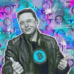 Elon Musk Special Edition Color Way  Series Highlight 