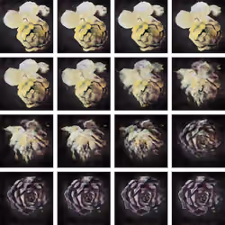 "Transition" Image 8: PyhYg6s5pd5L
