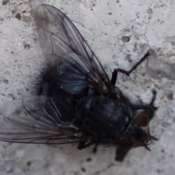 51124555051901614330264480006545612592022390906904121289505624500836073734145