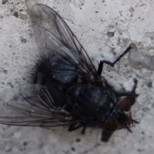 51124555051901614330264480006545612592022390906904121289505624500836073734145