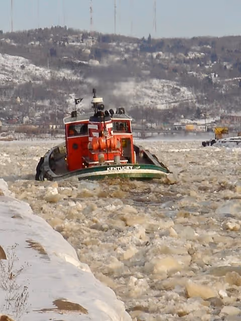 Item #77583281568737235436217946850455306889185240163730885588302184173503204294657 Media