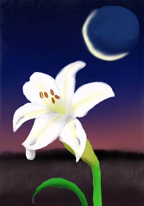 Item #27403627708741011374556396418670723509865227626342471878613418713127539703809 Media