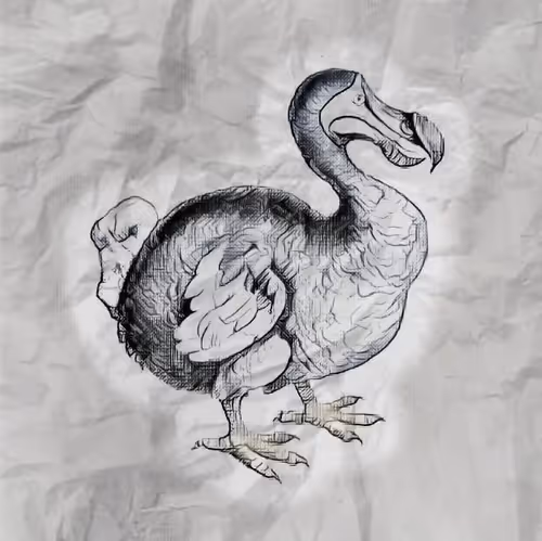 Item #17635803375648012338610213380030160191715370757553255260744606425002415226881 Media