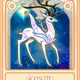 Monstergalaxy_P2E Collection