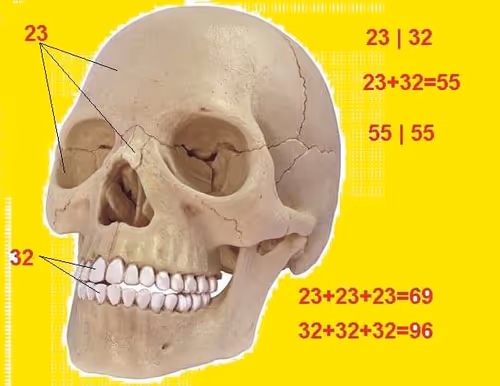 Item #49178141078253376036295356187941138116073545367066225953485623005072588800001 Media