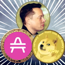 $AMP $DOGE are one with Elon