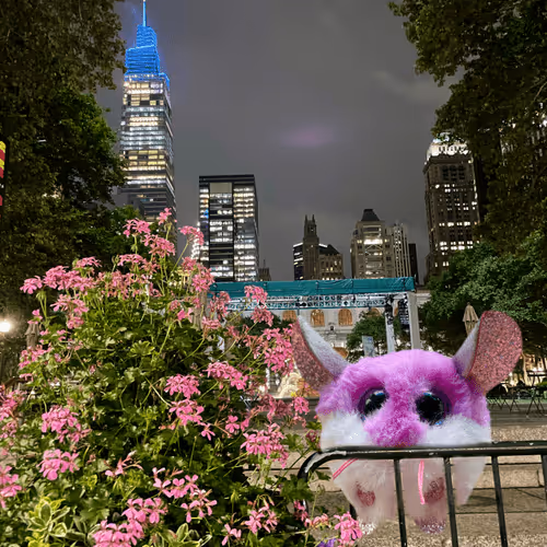 Halo_Arts Collection