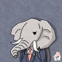 Phantom hair root female elephant series
