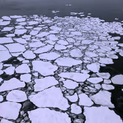 1000 Ice Islands 