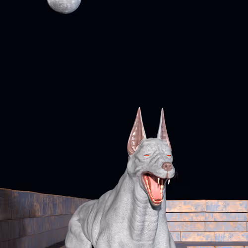 Dawgsout