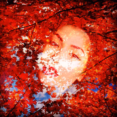 Item #62450163587464916646709375765120479654393339948388085324429160207681698398209 Media