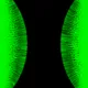 51929734946411346289540790635765095060363125039145709683616697291497636102145