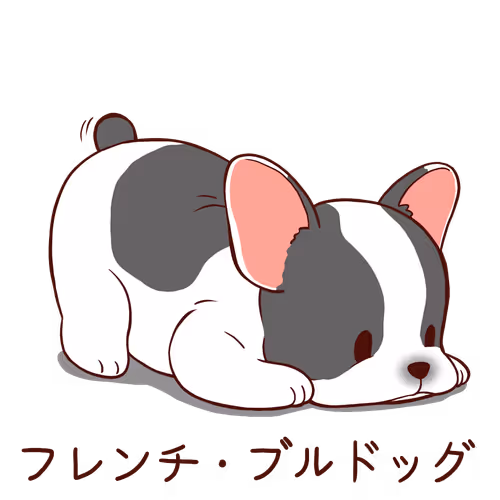 French bulldog