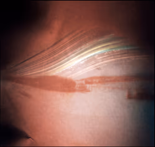 Item #2988879316739949215962448092435950075047807637106235546791651113944827822081 Media