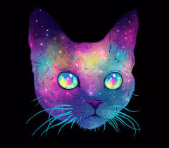Space Cat #1