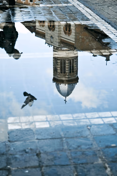 Item #13606181839721576894155883308236999132816604807813273145513526389049665781761 Media