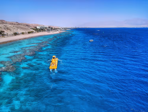 Item #103827941438113697818642645704453309282652196702699315811419257085226179887105 Media