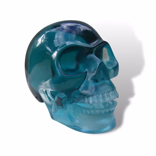 Item #70461142088290827546893108462160056281613253614055342544234748025512250048513 Media