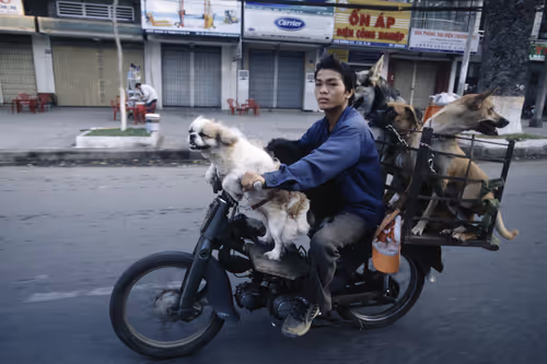 Item #24110165408155573398908987562152031273205884089304227586706331099558219612161 Media