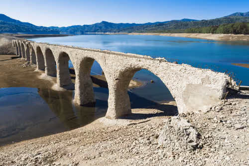 Item #48859137615643323655196029833503422829626660192385446551357751532578609823745 Media