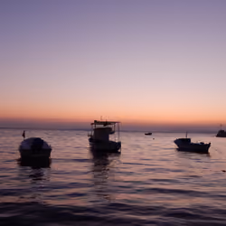 The Turkish Sunset And Sealife #10