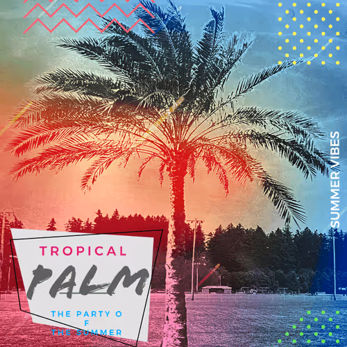 Untitled Collection #509373149