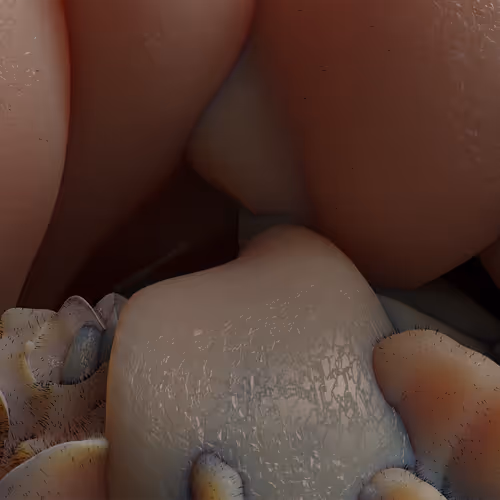 87858548873057691610145785827924316116903784724900626045837508998108658270213