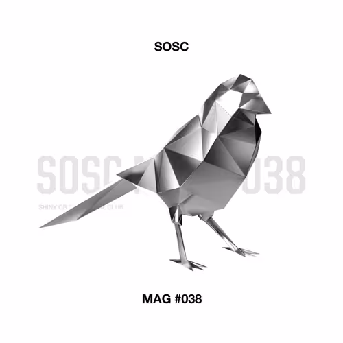 Shiny Magpies