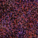 944858660688572096584618472555991747686703840338442188877309823761361403905