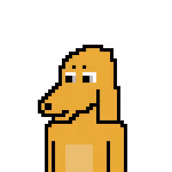 crypto.dog000