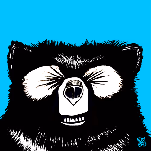 Item #12256084541221245156135028986021526634136884921740396050173767449798158319617 Media