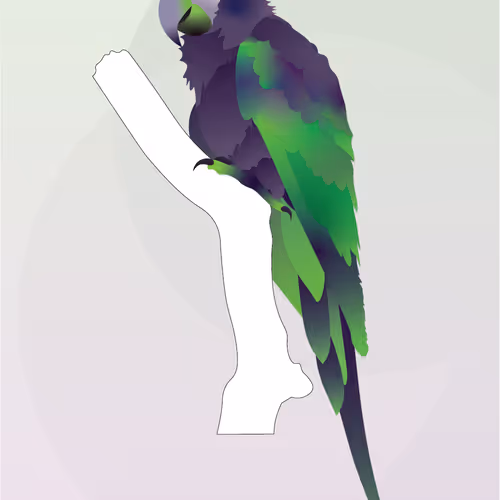 Vector Birds