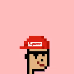 Babie Supreme Punk 974
