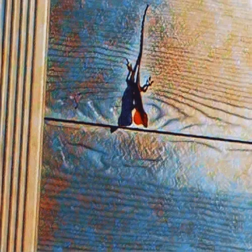 Item #6822172971026890418880562505450227759252596580722353794181564536084190199809 Media