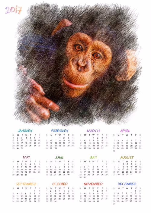 Item #38775667772334495200431258381610230883296000587885911426312875882476703055873 Media