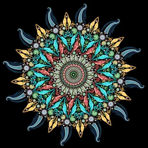 Item #37427849971963562945680097919920776522842580039439941399392249962558163779585 Media