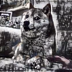 Doge Meme 1 one of a kind ! 