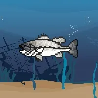 Etherfishing