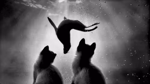 Untitled Collection #8867071