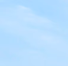 Bluese