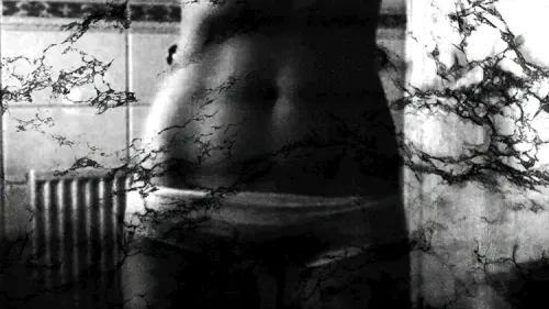 Item #48633838048998583663320801872641342627589424413345964441345781758637438402561 Media