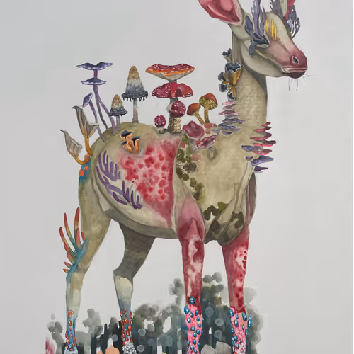 Fungus Watercolors V3