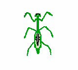 DaoBaoArtHouse Collection - old