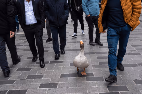 45698053960438807051727633621105073210005053048443120307747772236930775777281